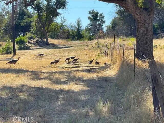 705 Triangle Road, Mariposa, CA 95338 - Image #2