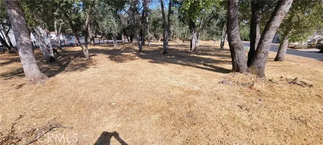 #3