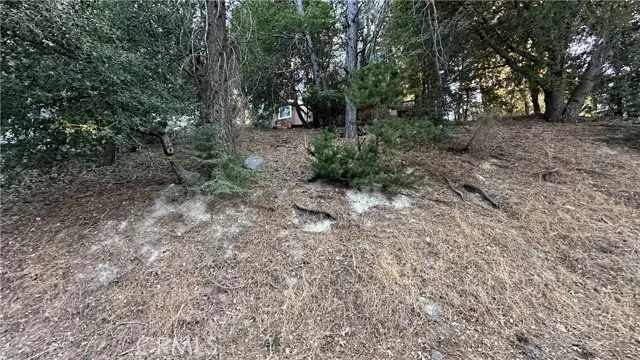 0 Mid Lane, Twin Peaks, CA 92391 - Image #1