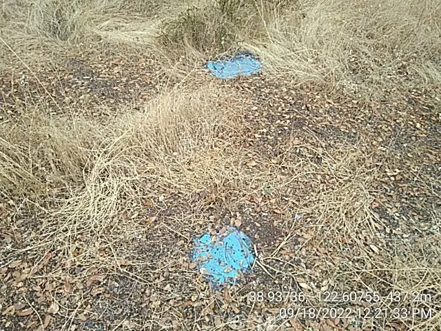 16291 20th, Clearlake, CA 95422 - Image #2