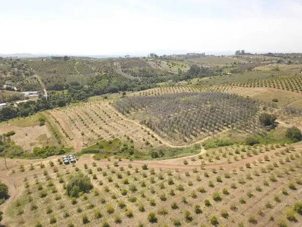 0 Birdsong, Escondido, CA 92026