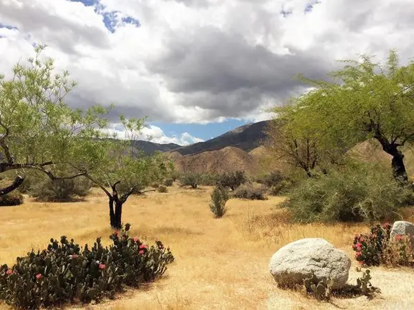 2207 Hoberg Road, Borrego Springs, CA 92004