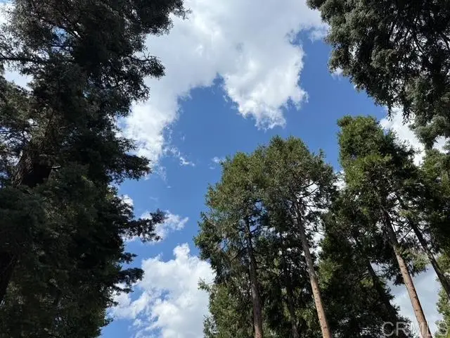 32811 Birch Hill Road, Palomar Mountain, CA 92060 - Image #1