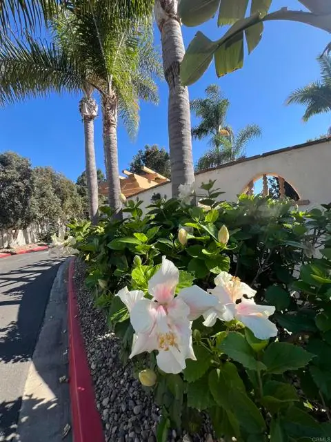 4241 Loma Riviera Lane, San Diego, CA 92110 - Image #2