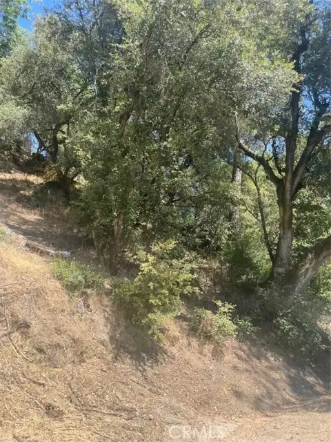 5555 Vacation Boulevard, Somerset, CA 95684 - Image #1