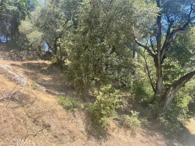 5555 Vacation Boulevard, Somerset, CA 95684 - Image #2