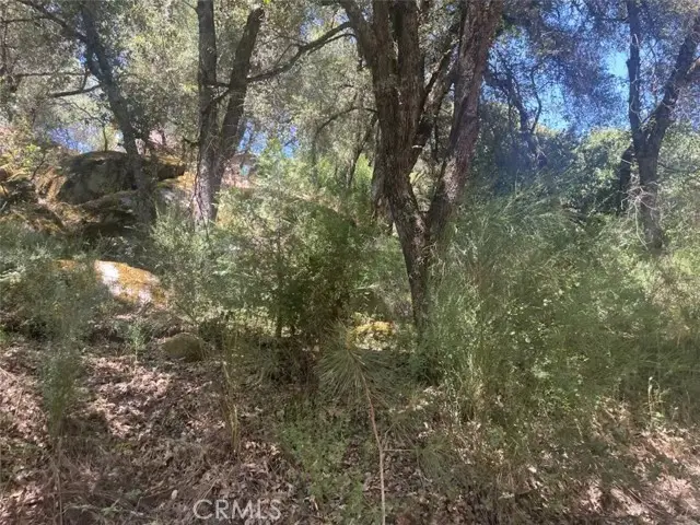 5555 Vacation Boulevard, Somerset, CA 95684 - Image #3