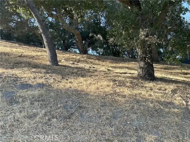 #3