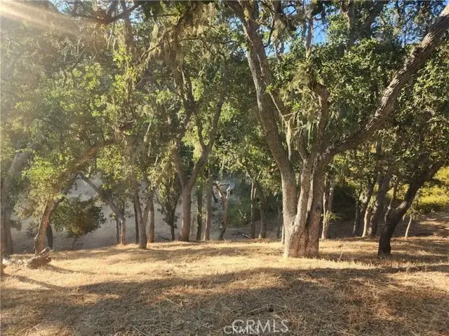 #3