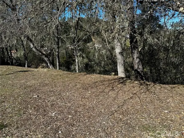 8209 Woody Point Lane, Bradley, CA 93426