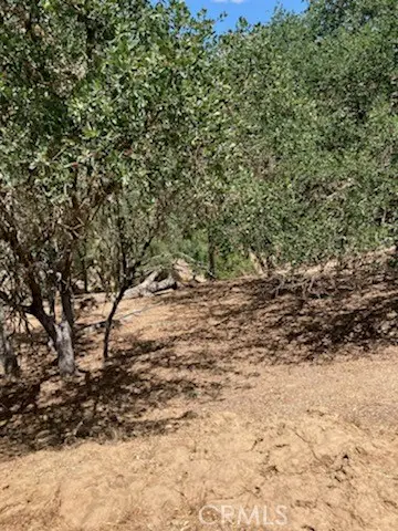 2668 Pine Ridge Road, Bradley, CA 93426 - #2