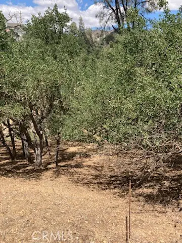 2668 Pine Ridge Road, Bradley, CA 93426 - #3