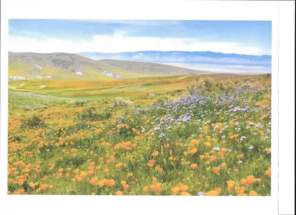 0 Cooperstown Rd, California Valley, CA 93453