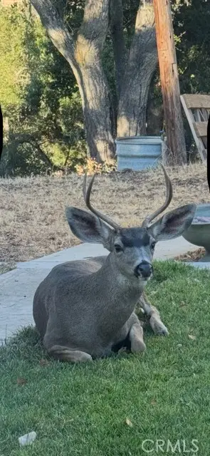 1000 Garcia Road, Atascadero, CA 93422