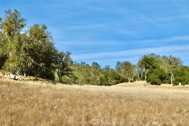 47811 Sapaque Valley, Bradley, CA 93426 - Image #2