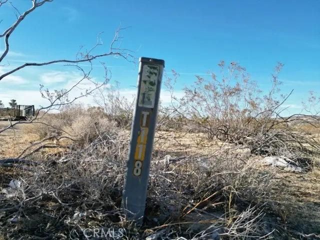 57186 Karol Road, Landers, CA 92285 - Image #3