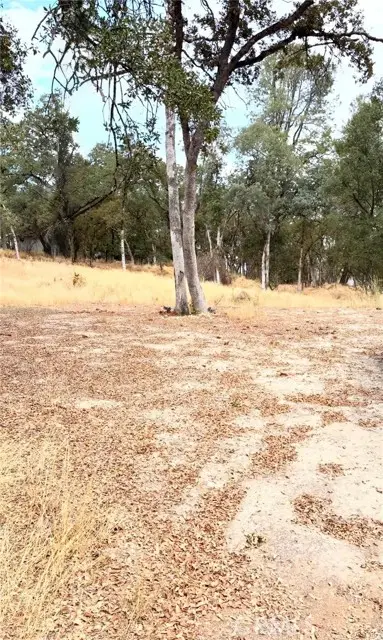 3885 Rosey Way, Placerville, CA 95667