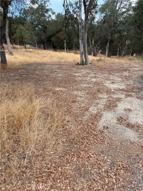 3885 Rosey Way, Placerville, CA 95667 - Image #2