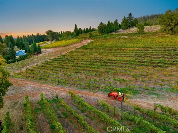 2781 Larsen, Camino, CA 95709