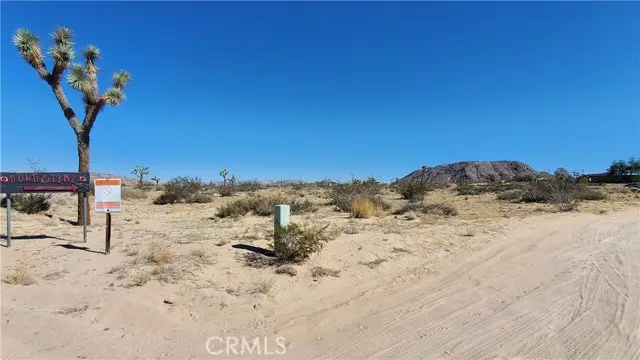 0 Landers, Landers, CA 92285 - #2