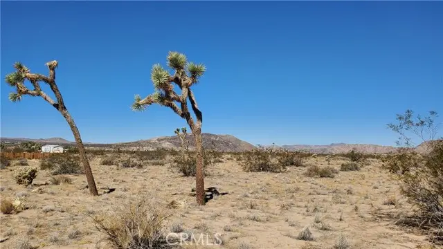 0 Landers, Landers, CA 92285 - #3