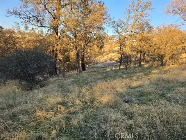 #3