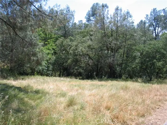 211 Lemon Hill Drive, Oroville, CA 95966 - #2