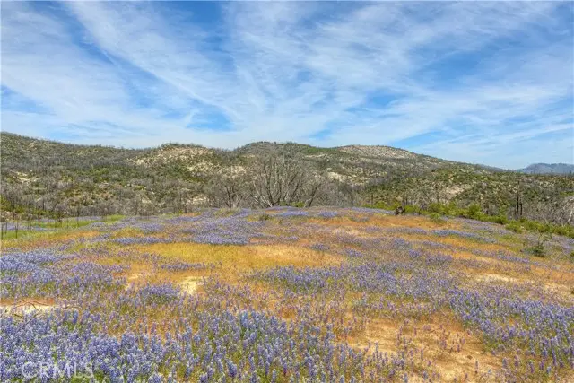 0 Harrison Springs Road, Berry Creek, CA 95916 - Image #2