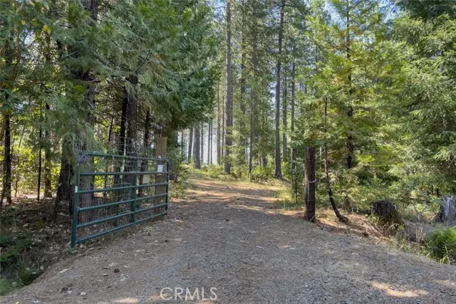 0 Forbestown Rd, Forbestown, CA 95941 - #1