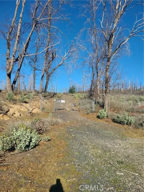 81 Green Cedar, Berry Creek, CA 95916