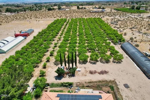 9975 Custer Avenue, Lucerne Valley, CA 92356 - Image #2