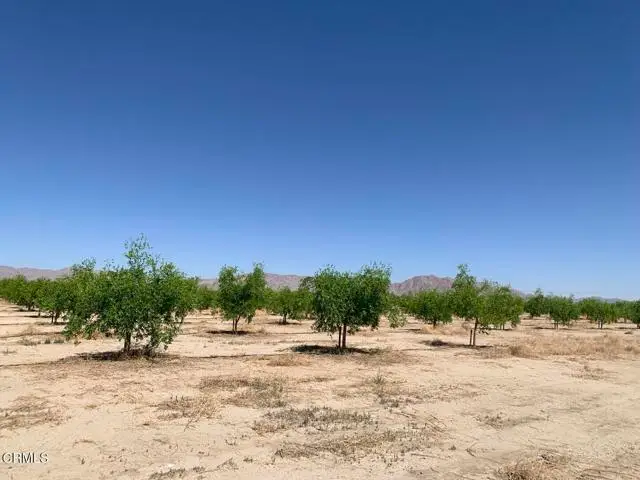 12500 Locust Avenue, Lucerne Valley, CA 92356 - #2