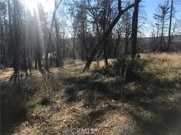 0 Four M Court, Berry Creek, CA 95916