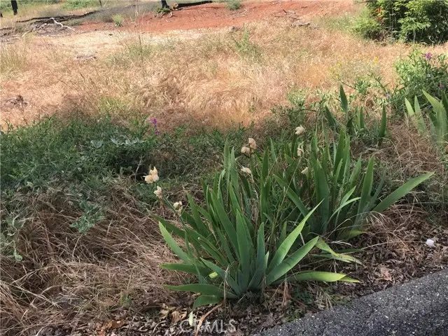 13579 Wichita Drive, Magalia, CA 95954 - Image #2