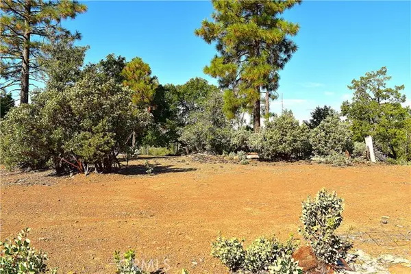 0 Incense Cedar Trl, Groveland, CA 95321