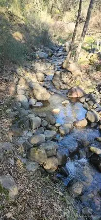 13566 Helltown, Chico, CA 95928 - Image #1