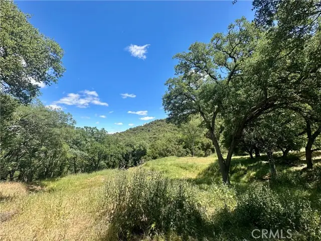 0 Tepusquet Road, Santa Maria, CA 93454 - Image #1