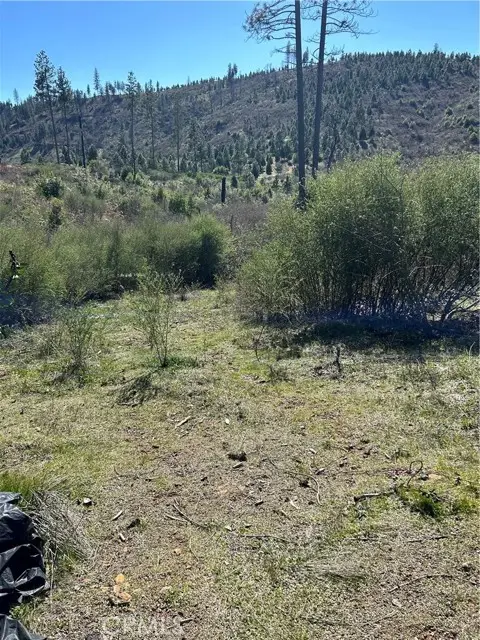 1234 Hog Ranch Rd, Oroville, CA 95965 - Image #1