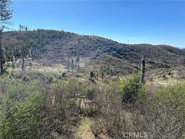 1234 Hog Ranch Rd, Oroville, CA 95965 - Image #2