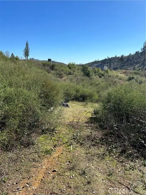 1234 Hog Ranch Rd, Oroville, CA 95965 - Image #3