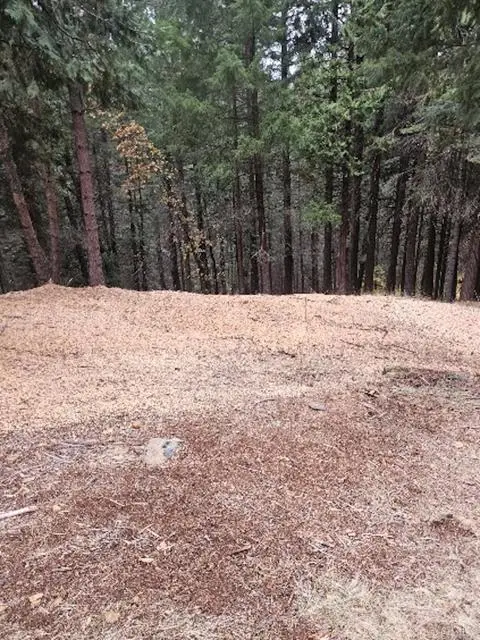 4952 Sierra Springs Drive, Pollock Pines, CA 95726 - Image #2