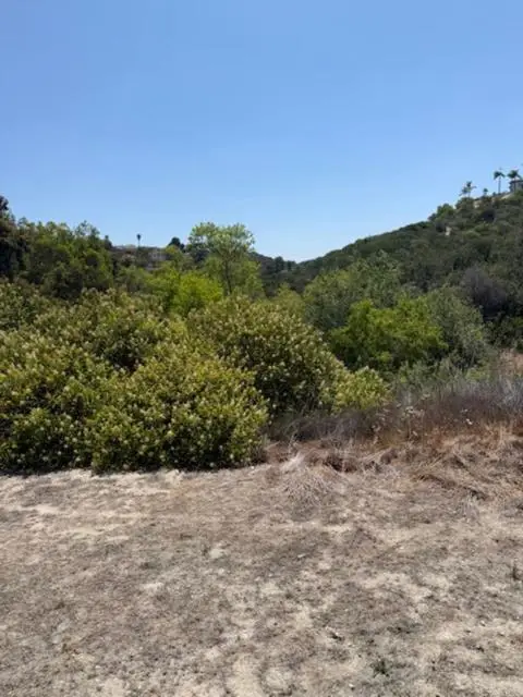#3
