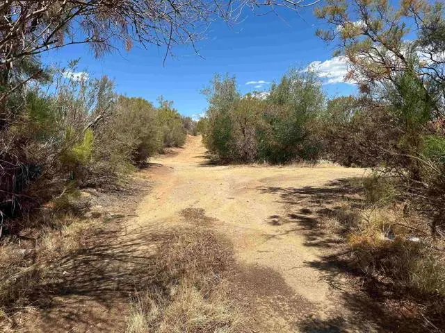 59125 Rimrock Canyon Road, Anza, CA 92539 - #2