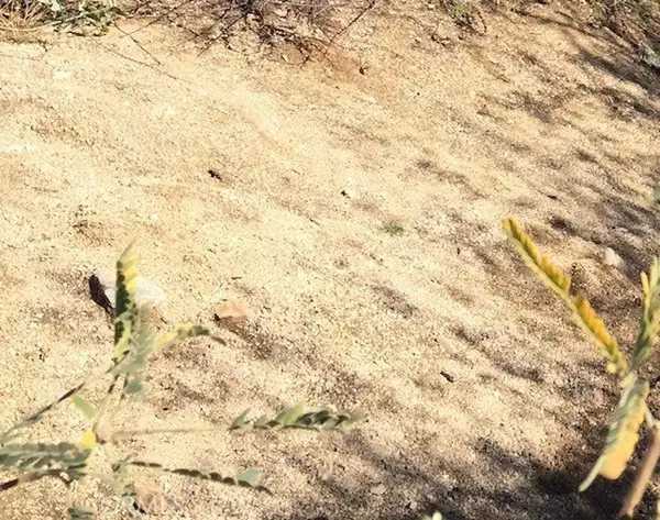 0 E Avenue E-4, Lancaster, CA 93534