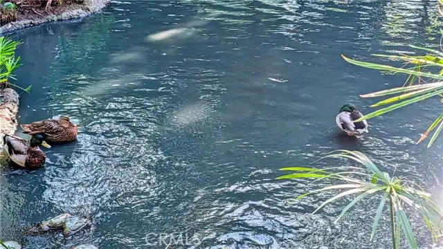 4900 E Chapman #62, Orange, CA 92869 - Image #3