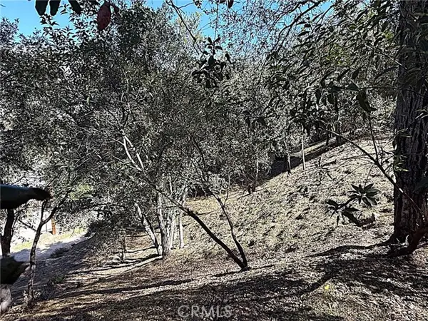 0 High Cliff Trail, Tujunga (los Angeles), CA 91042