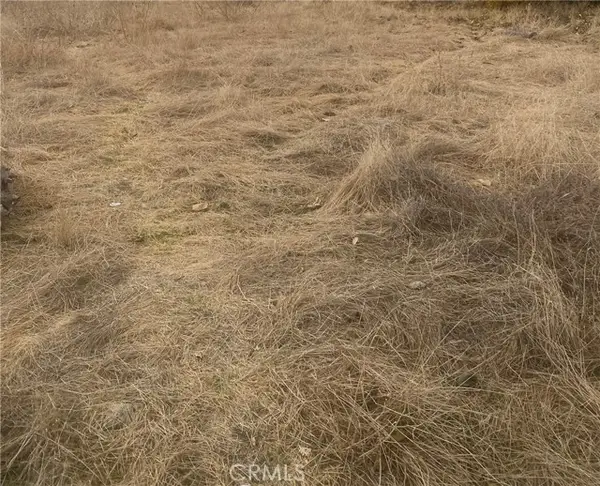 0 Vac/vic, Llano, CA 93544