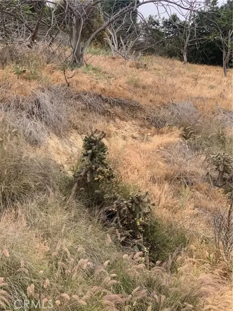 0 Weaver Street, San Diego, CA 92114 - Image #2