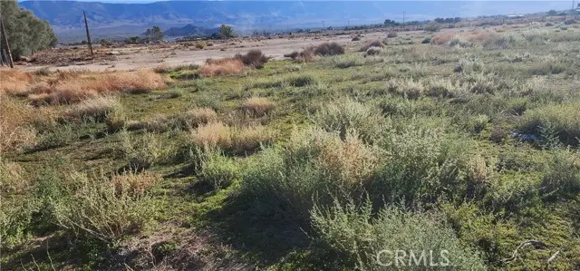 0 Rabbit Springs Road, Lucerne Valley, CA 92356 - Image #3