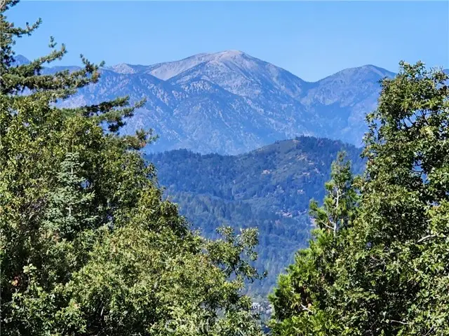 0 North Road, Twin Peaks, CA 92391 - Image #2